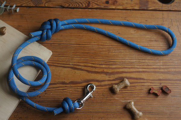 Dog Lead 0087