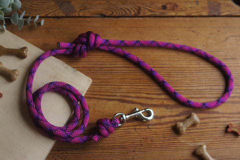 Dog Lead 0088