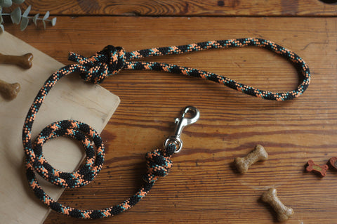Dog Lead 0089