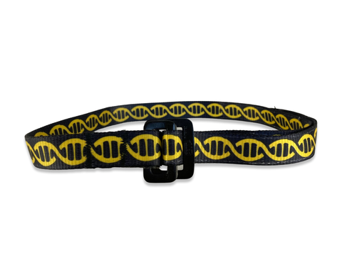 Harness Belt