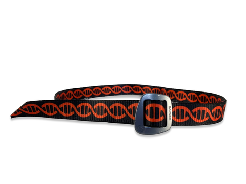 Harness Belt