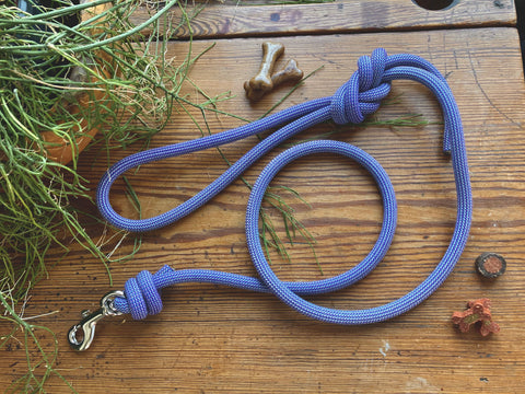 Dog Lead 0057