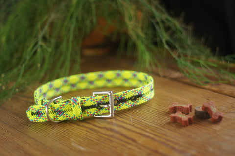 Dog Collar 0074