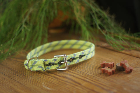 Dog Collar 0075