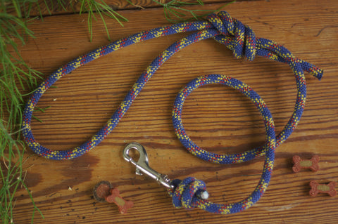 Dog Lead 0080