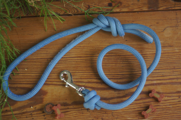 Dog Lead 0081