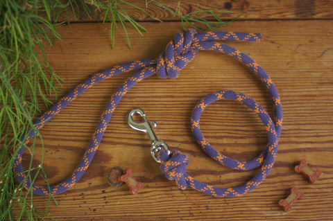 Dog Lead 0083
