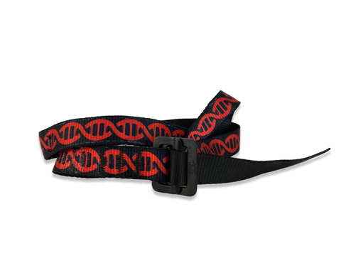 Harness Belt