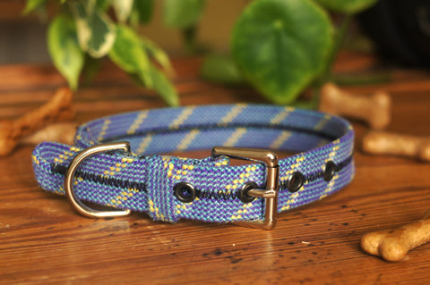 Dog Collar 0097