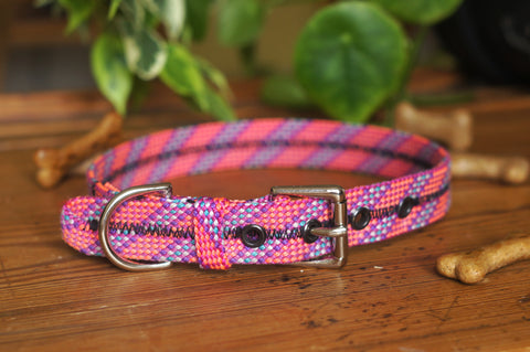 Dog Collar 0099