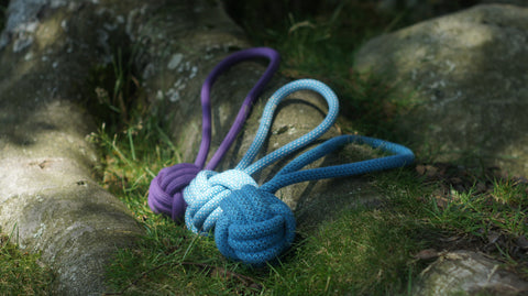 Dog Toy