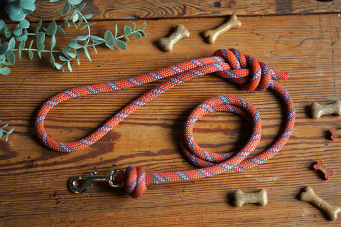 Dog Lead 0059