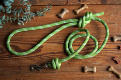 Dog Lead 0071