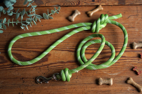 Dog Lead 0071