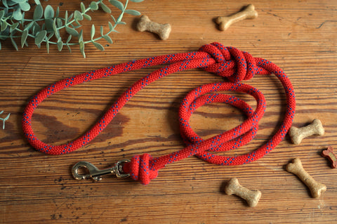 Dog Lead 0090