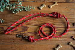 Dog Lead 0091