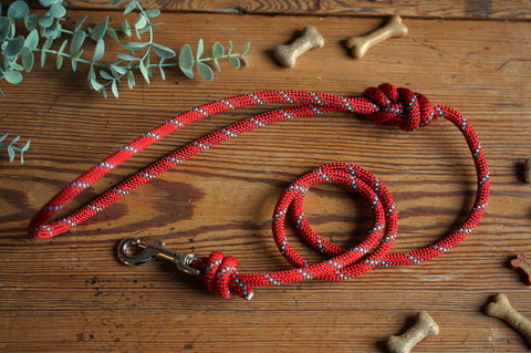 Dog Lead 0091
