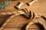 Dog Lead 0092