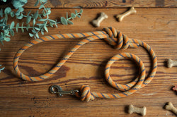 Dog Lead 0092