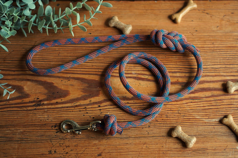 Dog Lead 0093