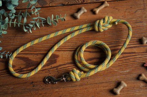 Dog Lead 0094