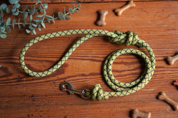 Dog Lead 0095