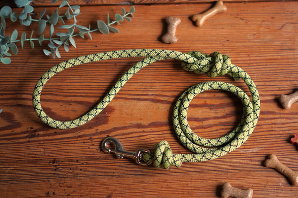 Dog Lead 0095