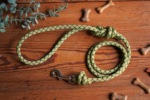 Dog Lead 0095