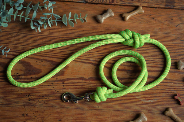Dog Lead 0096