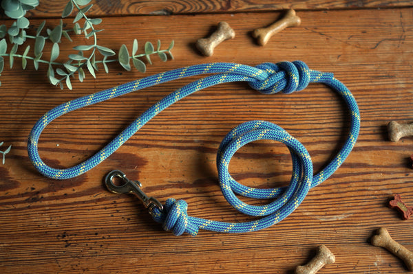 Dog Lead 0097