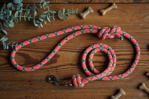 Dog Lead 0098