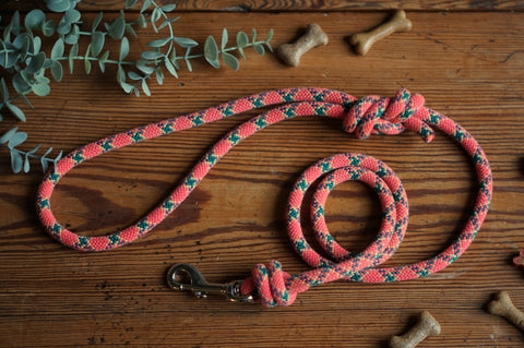 Dog Lead 0098