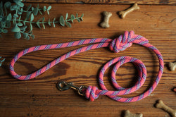 Dog Lead 0099