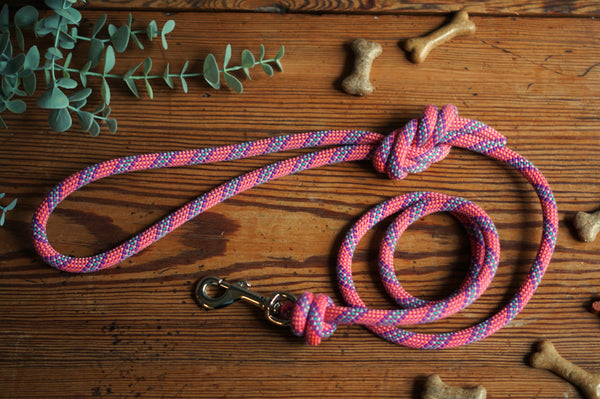 Dog Lead 0099