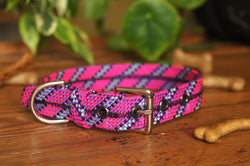 Dog Collar 0100