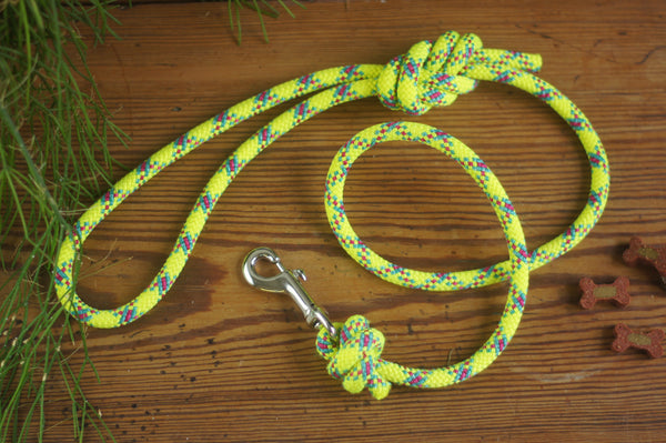 Dog Lead 0074