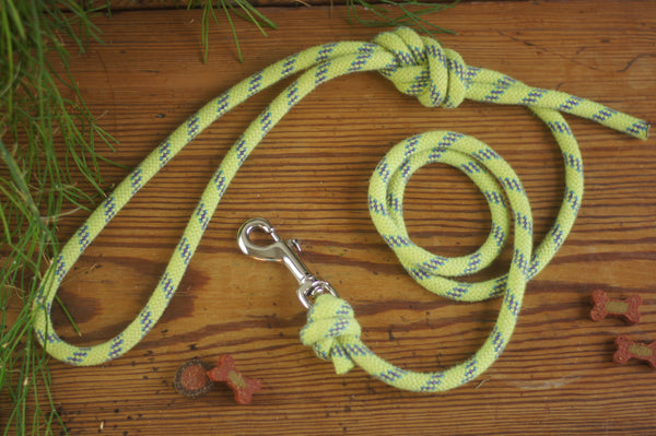 Dog Lead 0075