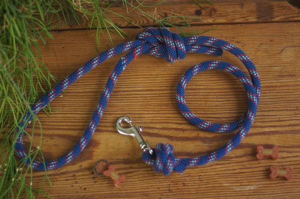 Dog Lead 0079