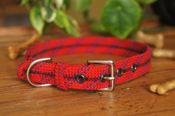 Dog Collar 0090