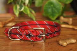 Dog Collar 0091