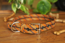 Dog Collar 0092