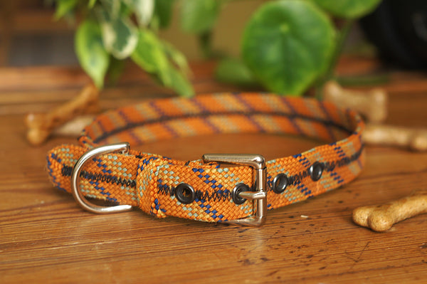Dog Collar 0092