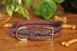 Dog Collar 0093
