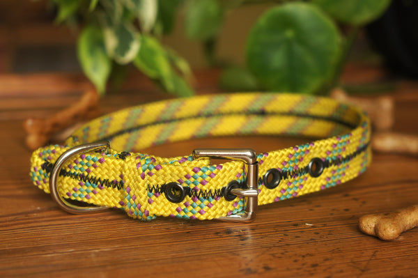 Dog Collar 0094