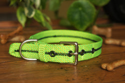 Dog Collar 0096