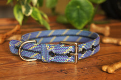 Dog Collar 0097