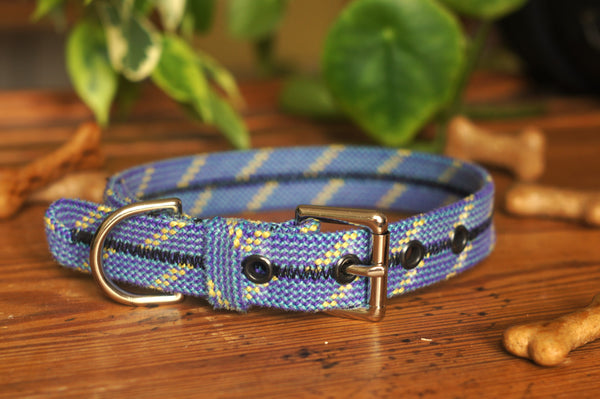 Dog Collar 0097