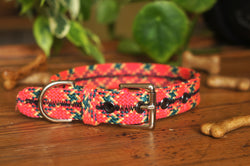 Dog Collar 0098