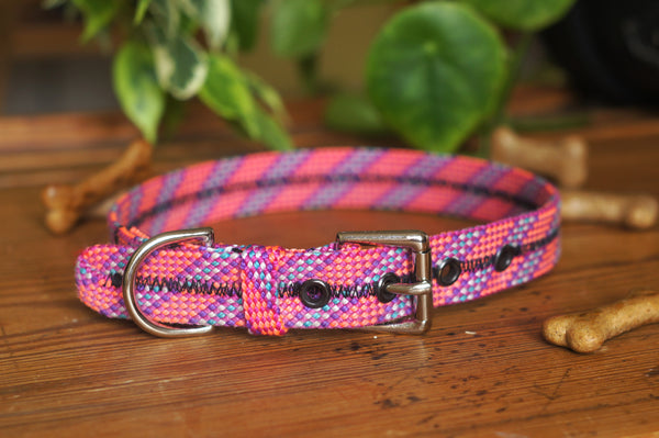 Dog Collar 0099