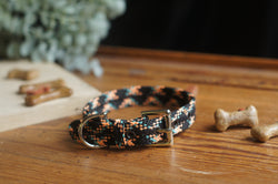 Dog Collar 0089